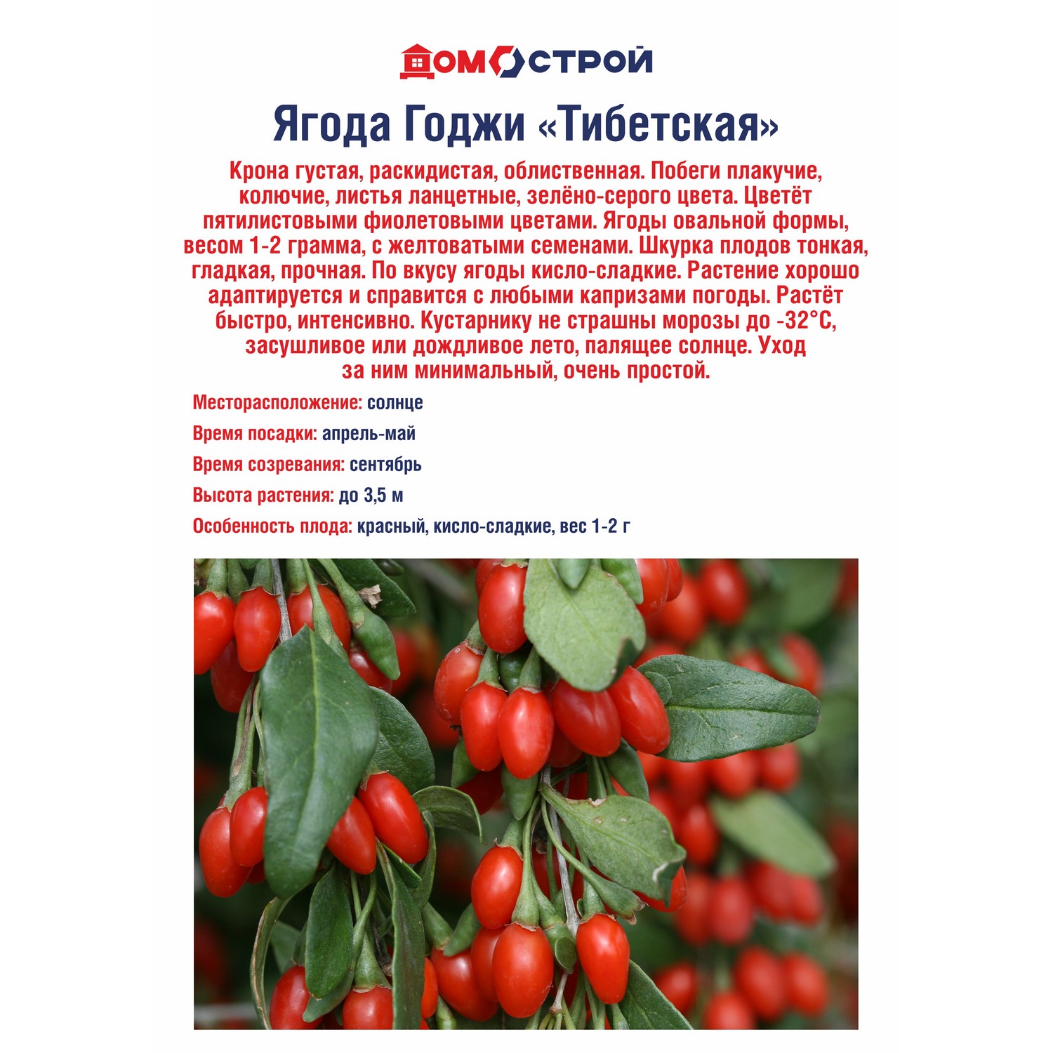 Ягода Годжи