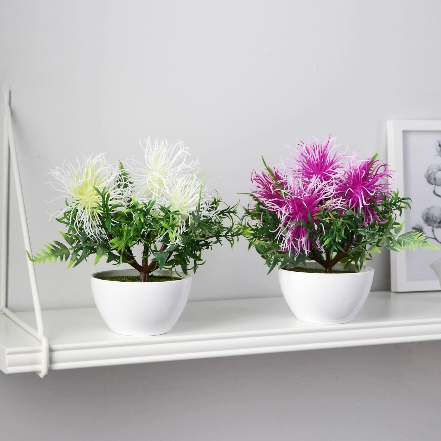 Бонсай в горшке "Тилландсия" 10х17 см, микс   9750540