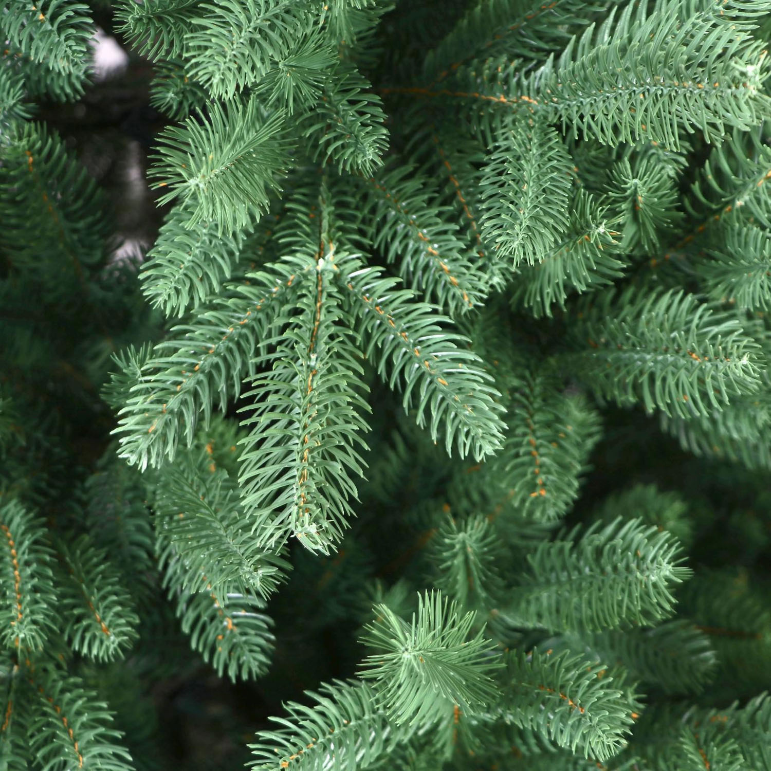 Елка искусственная пластиковая "Самарская" 2,1м литая *1/20