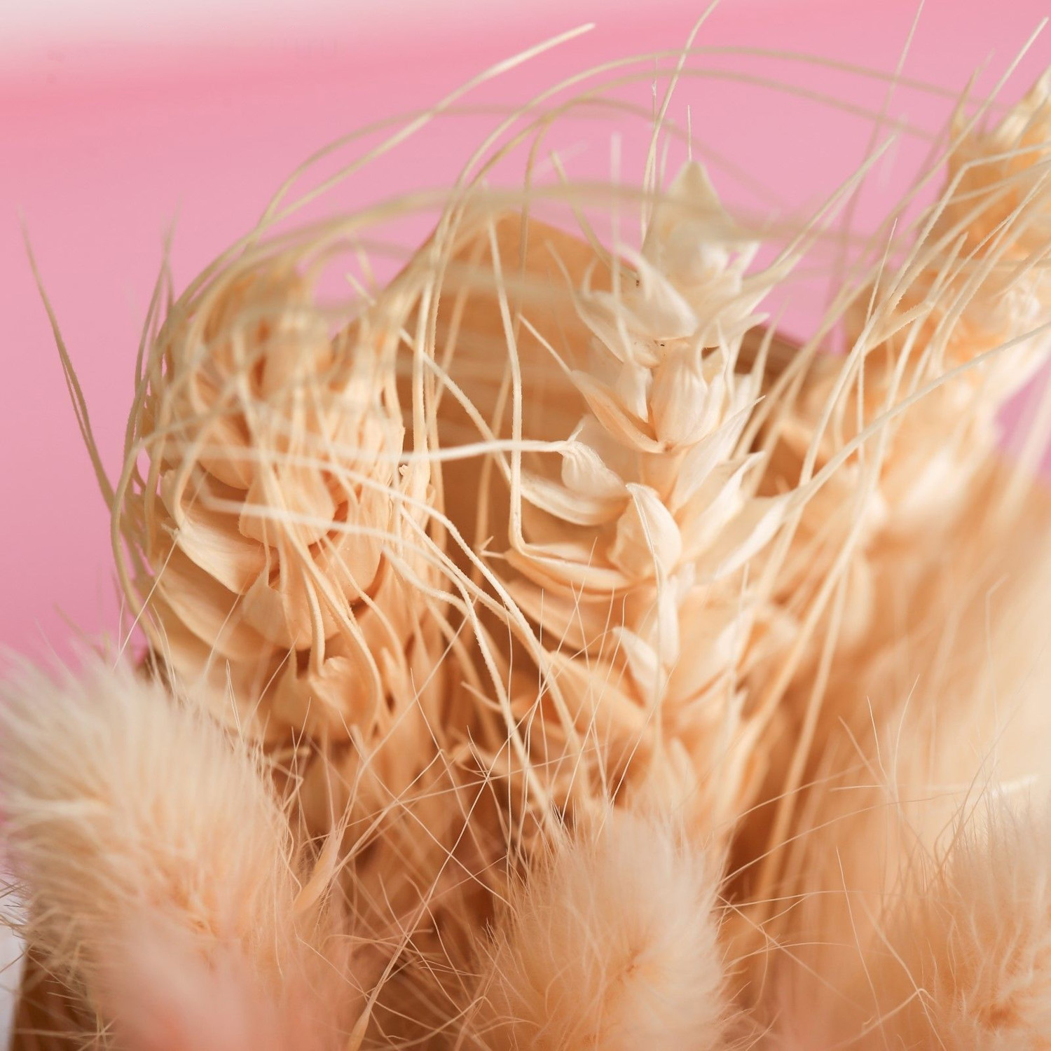 Букет из сухоцветов «Кому‒то особенному», 11,7 × 21 × 5 см 3903703 Букет из сухоцветов «Кому‒то особенному», 11,7 × 21 × 5 см 3903703