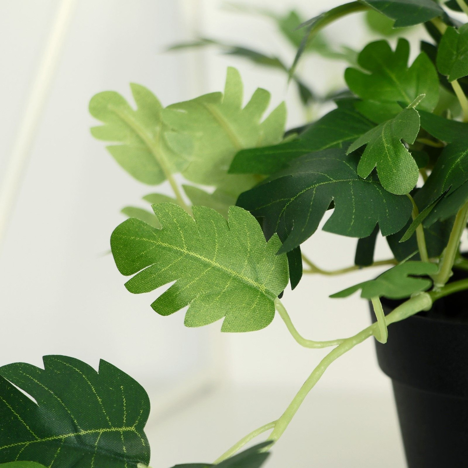 Бонсай в горшке "Герань душистая" 18х17 см,    9499359