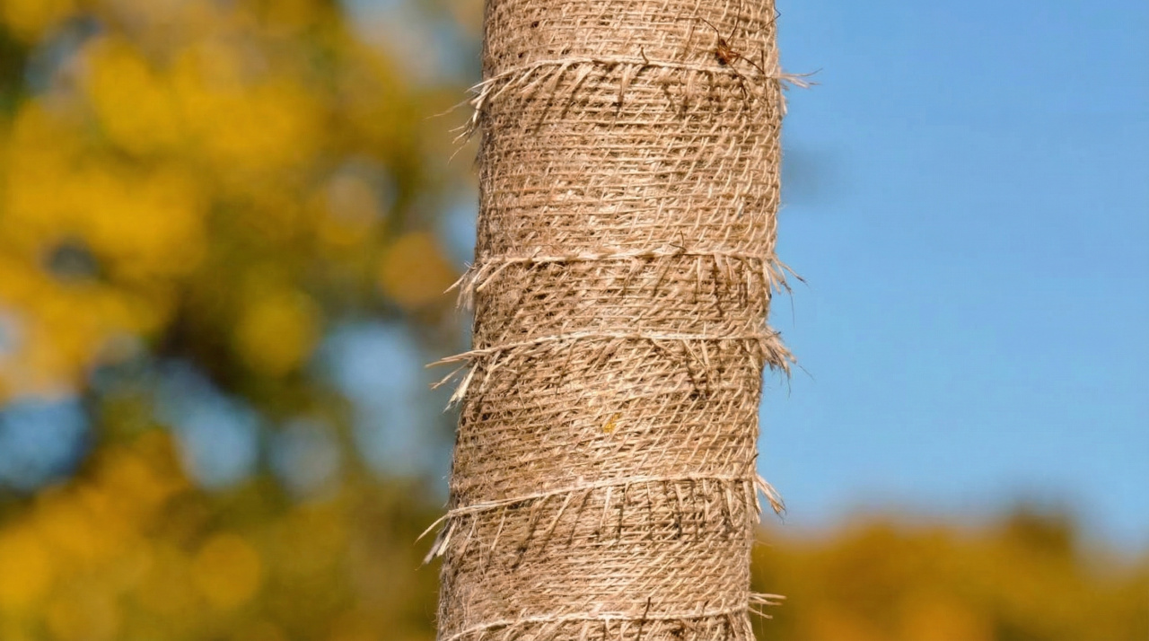 03ee899e89699996d18b5e10daf7a86c_c71a833b-fa83-493f-bc94-e07a4adfe2b6.png 03ee899e89699996d18b5e10daf7a86c_c71a833b-fa83-493f-bc94-e07a4adfe2b6.png