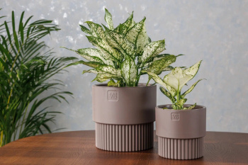 Кашпо пластм. "Бостон" 4,5л d верха 193мм h185мм со вставкой Шоколад АМБ-4,5-04 ("VipSet") *1/6