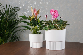 Кашпо пластм. "Бостон" 4,5л d верха 193мм h185мм со вставкой Белый АМБ-4,5-01 ("VipSet") *1/6