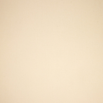 Обои флиз "Палитра" TREND Nature фон (беж.) TC72460-22  1,06*10м *6