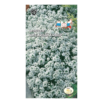 Семена Алиссум морской Снежный ковер  0,1гр СеДеК *10/200 Семена Алиссум морской Снежный ковер  0,1гр СеДеК *10/200