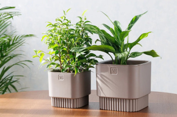 Кашпо пластм. "Бостон" 5,5л 192х192мм h185мм со вставкой Шоколад АМБ-5,5-04 ("VipSet") *1/6