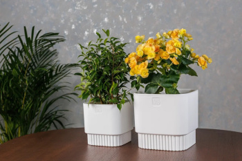 Кашпо пластм. "Бостон" 5,5л 192х192мм h185мм со вставкой Белый АМБ-5,5-01 ("VipSet") *1/6